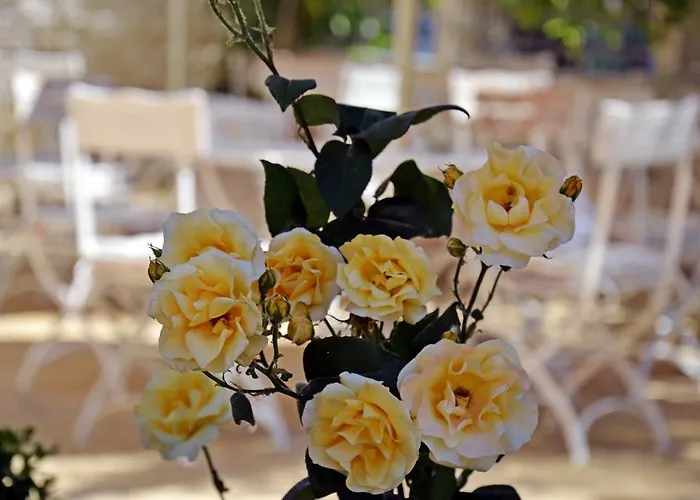 Hotel Central Slăntjev Brjag