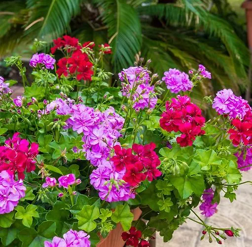 Сентраль Отель